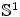 $$\mathbb {S}^1$$
