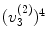 $$(v_3^{(2)})^4$$